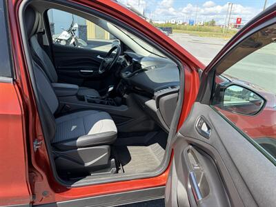 2019 Ford Escape SE   - Photo 5 - Clarenville, NL A5A 2C4