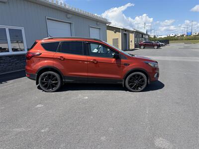 2019 Ford Escape SE   - Photo 3 - Clarenville, NL A5A 2C4