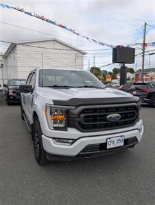 2021 Ford F-150 XL   - Photo 2 - St John's, NL A1B 1C2