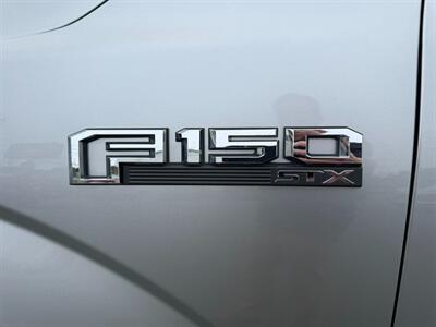 2020 Ford F-150 XL   - Photo 12 - St John's, NL A1B 1C2