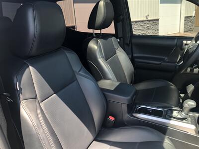 2023 Toyota Tacoma Limited   - Photo 7 - Clarenville, NL A5A 2C4