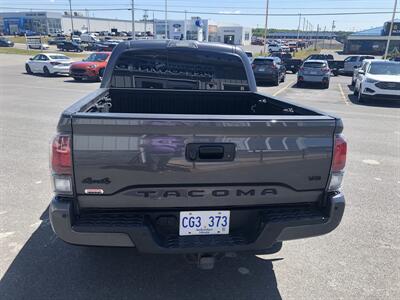 2023 Toyota Tacoma Limited   - Photo 13 - Clarenville, NL A5A 2C4