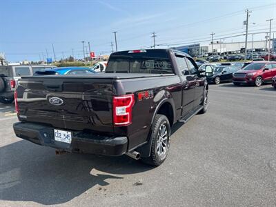 2019 Ford F-150 XL   - Photo 5 - Clarenville, NL A5A 2C4