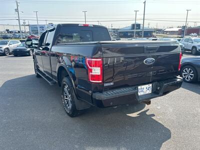 2019 Ford F-150 XL   - Photo 4 - Clarenville, NL A5A 2C4