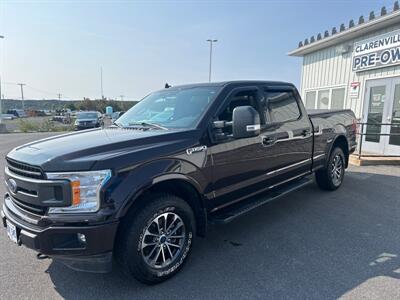 2019 Ford F-150 XL   - Photo 2 - Clarenville, NL A5A 2C4