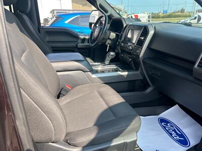 2019 Ford F-150 XL   - Photo 8 - Clarenville, NL A5A 2C4