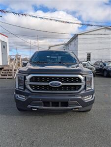 2022 Ford F-150 Platinum   - Photo 2 - St John's, NL A1B 1C2