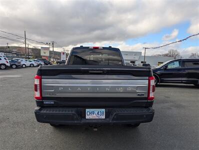 2022 Ford F-150 Platinum   - Photo 5 - St John's, NL A1B 1C2