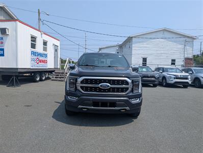 2022 Ford F-150 HYBRID Platinum - Photo 3 - St John's, NL A1B 1C2