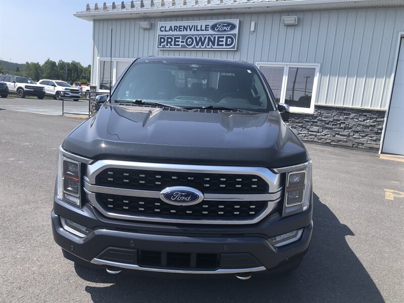 2022 Ford F-150 Platinum - Photo 1 - Clarenville, NL A5A 2C4
