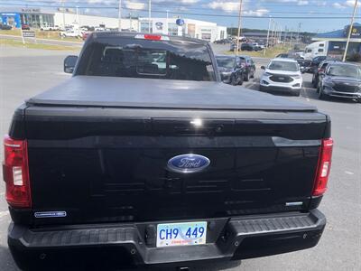 2022 Ford F-150 XLT Sport   - Photo 13 - Clarenville, NL A5A 2C4