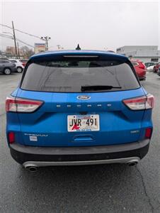 2021 Ford Escape Hybrid Titanium - Photo 8 - St John's, NL A1B 1C2