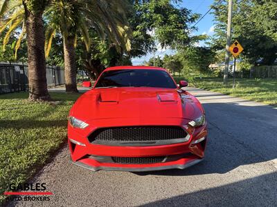 2019 Ford Mustang GT Premium - Photo 9 - Miami, FL 33165