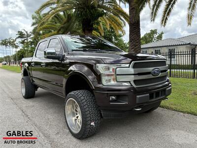 2019 Ford F-150 Platinum - Photo 4 - Miami, FL 33165