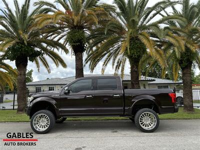 2019 Ford F-150 Platinum - Photo 8 - Miami, FL 33165