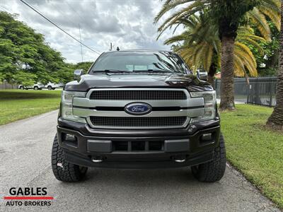 2019 Ford F-150 Platinum - Photo 3 - Miami, FL 33165