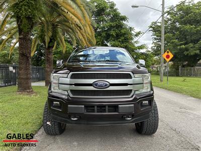 2019 Ford F-150 Platinum - Photo 9 - Miami, FL 33165
