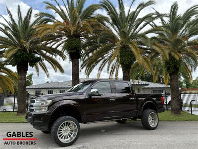 2019 Ford F-150 Platinum - Photo 7 - Miami, FL 33165
