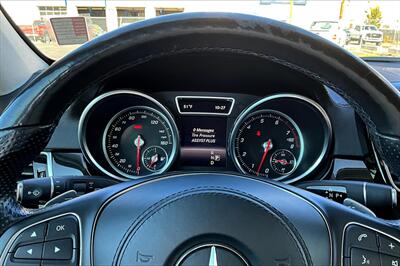 2017 Mercedes-Benz GLS GLS 450   - Photo 22 - Rock Springs, WY 82901