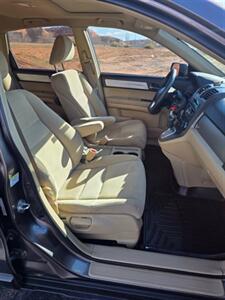 2010 Honda CR-V EX   - Photo 16 - Page, AZ 86040