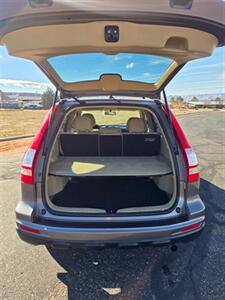 2010 Honda CR-V EX   - Photo 13 - Page, AZ 86040