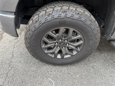 2025 Ford F-150 Tremor - Photo 15 - Nashville, TN 37210
