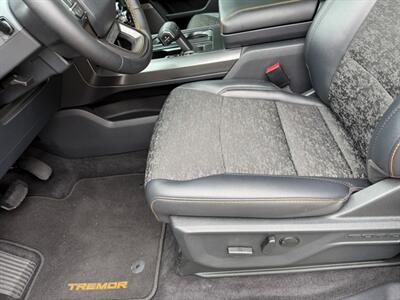 2025 Ford F-150 Tremor - Photo 22 - Nashville, TN 37210
