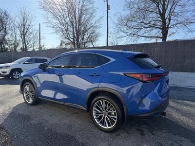 2025 Lexus NX 350h Premium   - Photo 7 - Nashville, TN 37210
