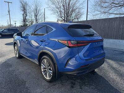 2025 Lexus NX 350h Premium   - Photo 8 - Nashville, TN 37210