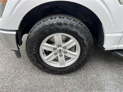 2022 Ford F-150 XLT   - Photo 6 - Nashville, TN 37210