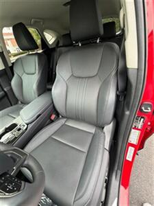 2024 Lexus NX 250   - Photo 24 - San Juan Capistrano, CA 92675