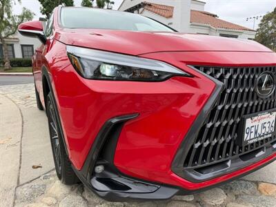2024 Lexus NX 250   - Photo 1 - San Juan Capistrano, CA 92675