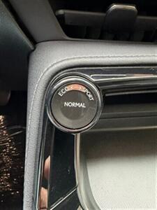 2024 Lexus NX 250   - Photo 29 - San Juan Capistrano, CA 92675