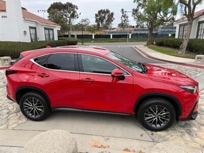 2024 Lexus NX 250   - Photo 4 - San Juan Capistrano, CA 92675