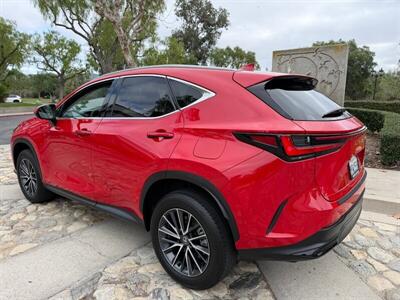 2024 Lexus NX 250   - Photo 7 - San Juan Capistrano, CA 92675