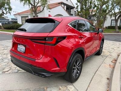 2024 Lexus NX 250   - Photo 6 - San Juan Capistrano, CA 92675