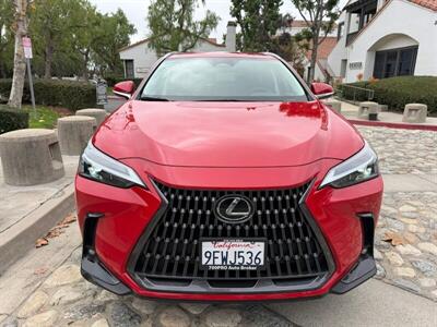 2024 Lexus NX 250   - Photo 10 - San Juan Capistrano, CA 92675