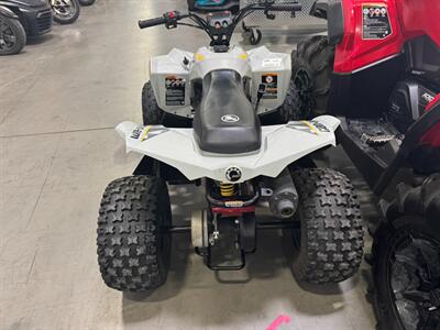 2025 CAN AM Renegade 110 EFI   - Photo 8 - Wylie, TX 75098