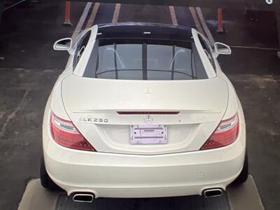 2013 Mercedes-Benz SLK SLK 250  Convertible - Photo 10 - Winston Salem, NC 27106