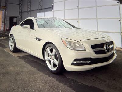 2013 Mercedes-Benz SLK SLK 250  Convertible - Photo 4 - Winston Salem, NC 27106