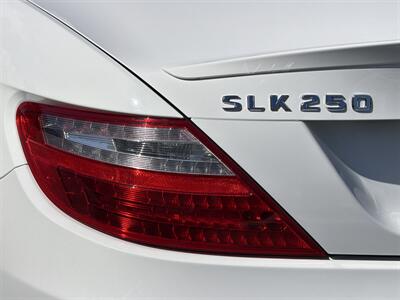 2014 Mercedes-Benz SLK SLK 250 - Photo 27 - San Juan Capistrano, CA 92675