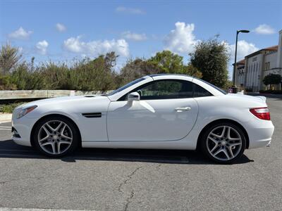 2014 Mercedes-Benz SLK SLK 250 - Photo 10 - San Juan Capistrano, CA 92675