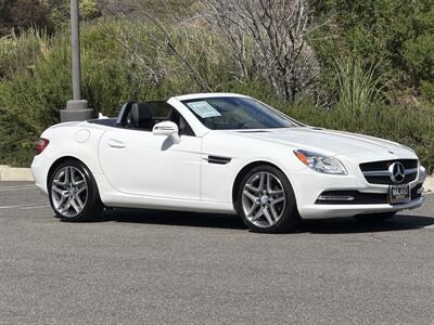 2014 Mercedes-Benz SLK SLK 250 - Photo 8 - San Juan Capistrano, CA 92675