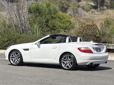 2014 Mercedes-Benz SLK SLK 250 - Photo 4 - San Juan Capistrano, CA 92675