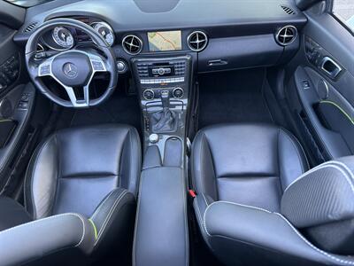 2014 Mercedes-Benz SLK SLK 250  Carbone Limited Edition - Photo 17 - San Juan Capistrano, CA 92675