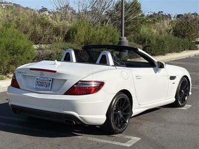 2014 Mercedes-Benz SLK SLK 250  Carbone Limited Edition - Photo 6 - San Juan Capistrano, CA 92675
