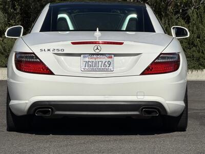 2014 Mercedes-Benz SLK SLK 250  Carbone Limited Edition - Photo 14 - San Juan Capistrano, CA 92675