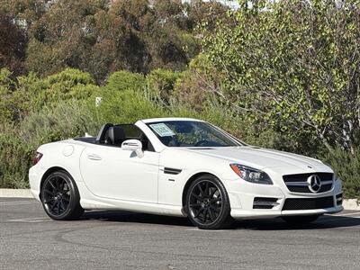2014 Mercedes-Benz SLK SLK 250  Carbone Limited Edition - Photo 8 - San Juan Capistrano, CA 92675