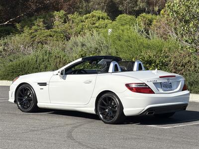 2014 Mercedes-Benz SLK SLK 250  Carbone Limited Edition - Photo 4 - San Juan Capistrano, CA 92675