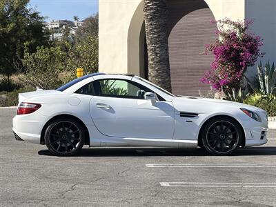 2014 Mercedes-Benz SLK SLK 250  Carbone Limited Edition - Photo 11 - San Juan Capistrano, CA 92675